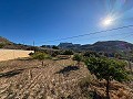 Villa mit Panoramablick und allen Annehmlichkeiten nur einen Schritt entfernt in Alicante Property