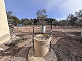 Non-Buildable Plot with 120 Olive Trees and Irrigation Water in Sax in Alicante Property