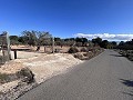 Non-Buildable Plot with 120 Olive Trees and Irrigation Water in Sax in Alicante Property