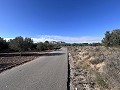 Non-Buildable Plot with 120 Olive Trees and Irrigation Water in Sax in Alicante Property