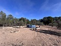 Non-Buildable Plot with 120 Olive Trees and Irrigation Water in Sax in Alicante Property