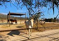 Preciosa Casa Rural con Piscina en Lel in Alicante Property