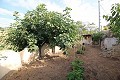 Maison troglodyte de 4 chambres à Casas del Senor in Alicante Property