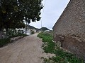 Proyecto de restauración de una casa cueva cerca de Jumilla in Alicante Property