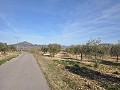 15.000m2 Bauland in Salinas mit Wasser - Stromanschluss in Alicante Property