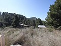 Landelijke villa met 3 slaapkamers en 2 badkamers in een nationaal park in Alicante Property