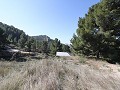 Landelijke villa met 3 slaapkamers en 2 badkamers in een nationaal park in Alicante Property