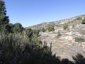 Landelijke villa met 3 slaapkamers en 2 badkamers in een nationaal park in Alicante Property