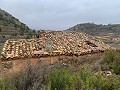 Parcelle avec ruines à La Carche, Jumilla in Alicante Property