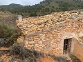 Parcelle avec ruines à La Carche, Jumilla in Alicante Property