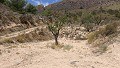 Parcelle avec ruines à La Carche, Jumilla in Alicante Property