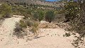 Parcelle avec ruines à La Carche, Jumilla in Alicante Property