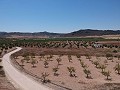 Solar edificable con agua, luz y árboles in Alicante Property