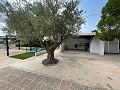 4 Bed 2 Bath Villa in Alicante Property