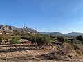 Baugrundstücke in Macisvenda in Alicante Property