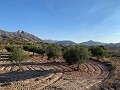 Baugrundstücke in Macisvenda in Alicante Property