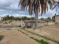 Semi-detached country house in La Romana in Alicante Property