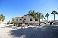 Large Detached Villa with 7 beds in Catral in Alicante Property