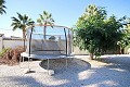 Large Detached Villa with 7 beds in Catral in Alicante Property