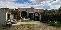 Spacious Cave House Walking Distance To La Romana in Alicante Property