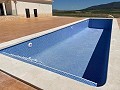 Obra Nueva con Piscina en Pinoso in Alicante Property