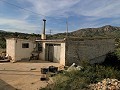 3-Bett-Landhaus & Lagerdepot 10 Minuten zu Fuß von der Stadt Barinas entfernt in Alicante Property