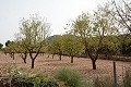 Oude finca volledig gerenoveerd met zwembad en originele bodega in Alicante Property