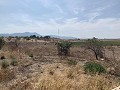 Belle finca rénovée avec piscine in Alicante Property