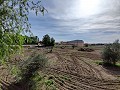 Maison de campagne dans Novelda - Revente in Alicante Property