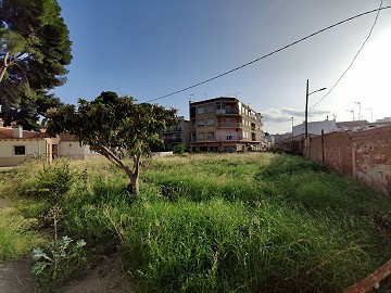 Terreno en Alicante, Monovar