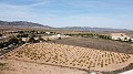 Land in Pinoso - Wederverkoop in Alicante Property