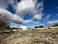 Land in Salinas - Wiederverkauf in Alicante Property