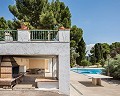 Prachtige villa in Monovar in Alicante Property