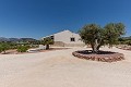 Belle villa prête à emménager avec maison d'hôtes et piscine in Alicante Property