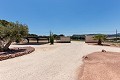 Belle villa prête à emménager avec maison d'hôtes et piscine in Alicante Property