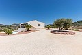 Belle villa prête à emménager avec maison d'hôtes et piscine in Alicante Property