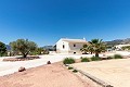 Belle villa prête à emménager avec maison d'hôtes et piscine in Alicante Property