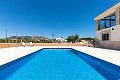 Belle villa prête à emménager avec maison d'hôtes et piscine in Alicante Property