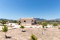 Belle villa prête à emménager avec maison d'hôtes et piscine in Alicante Property