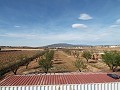 Villa moderne de 3 chambres à pied de la ville avec maisons d'hôtes in Alicante Property