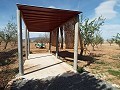 Villa moderne de 3 chambres à pied de la ville avec maisons d'hôtes in Alicante Property