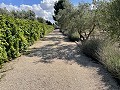 Maison de Campagne Individuelle à Biar in Alicante Property