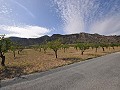 Legales Baugrundstück mit Stadtwasser und Strom in Salinas bei Sax in Alicante Property