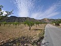 Legales Baugrundstück mit Stadtwasser und Strom in Salinas bei Sax in Alicante Property