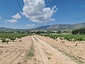 2 Parcelles à Salinas avec eau et électricité in Alicante Property