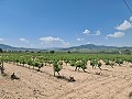 2 Parcelles à Salinas avec eau et électricité in Alicante Property