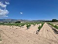 2 Parcelles à Salinas avec eau et électricité in Alicante Property