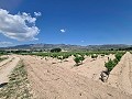 2 Parcelles à Salinas avec eau et électricité in Alicante Property