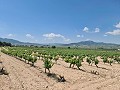 2 Parcelles à Salinas avec eau et électricité in Alicante Property