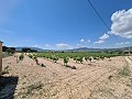 2 Parcelles à Salinas avec eau et électricité in Alicante Property